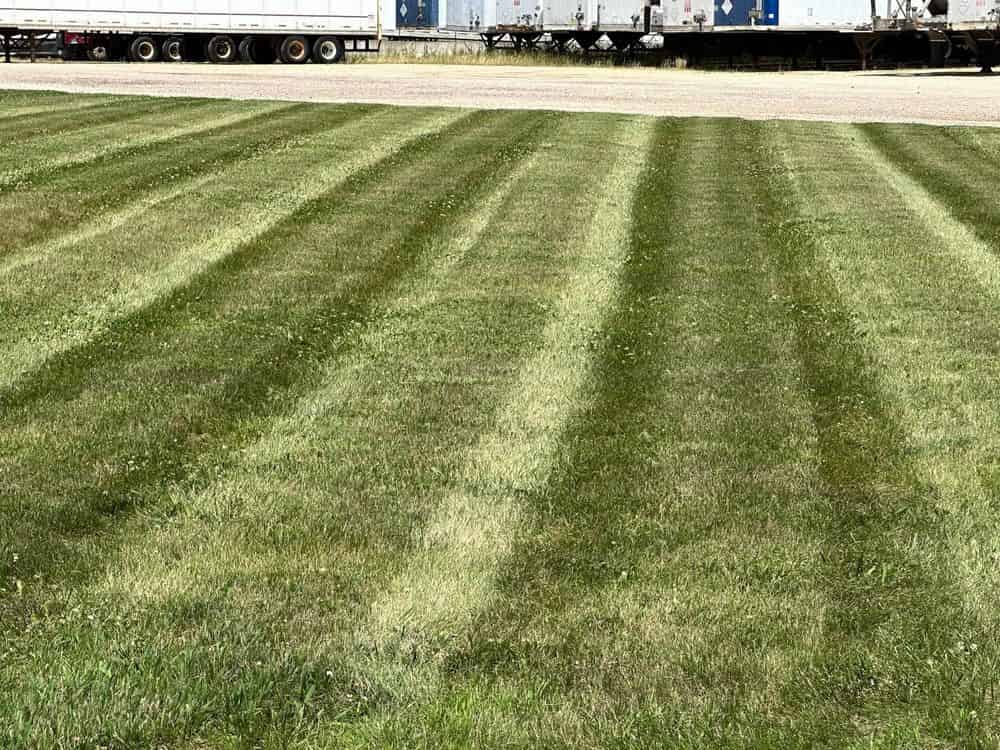 Lawn Care image