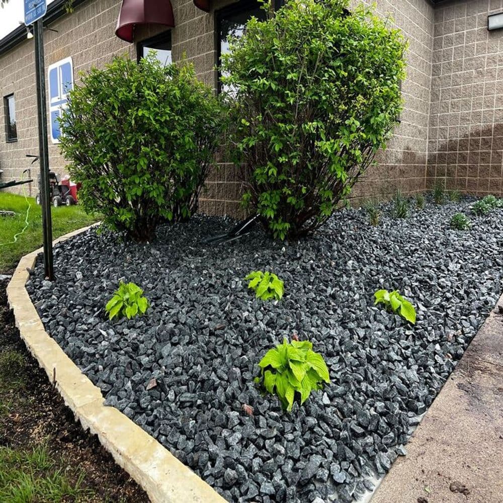 Landscaped area with dark decorative gravel, hostas, and lush green shrubs by a building.