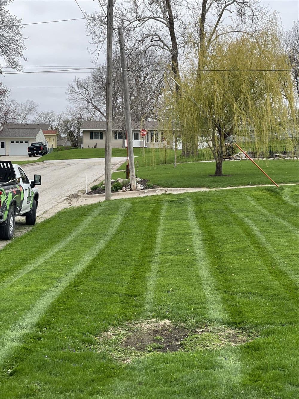 Lawn with freshly cut stripes and a vehicle parked on the roadside near houses.