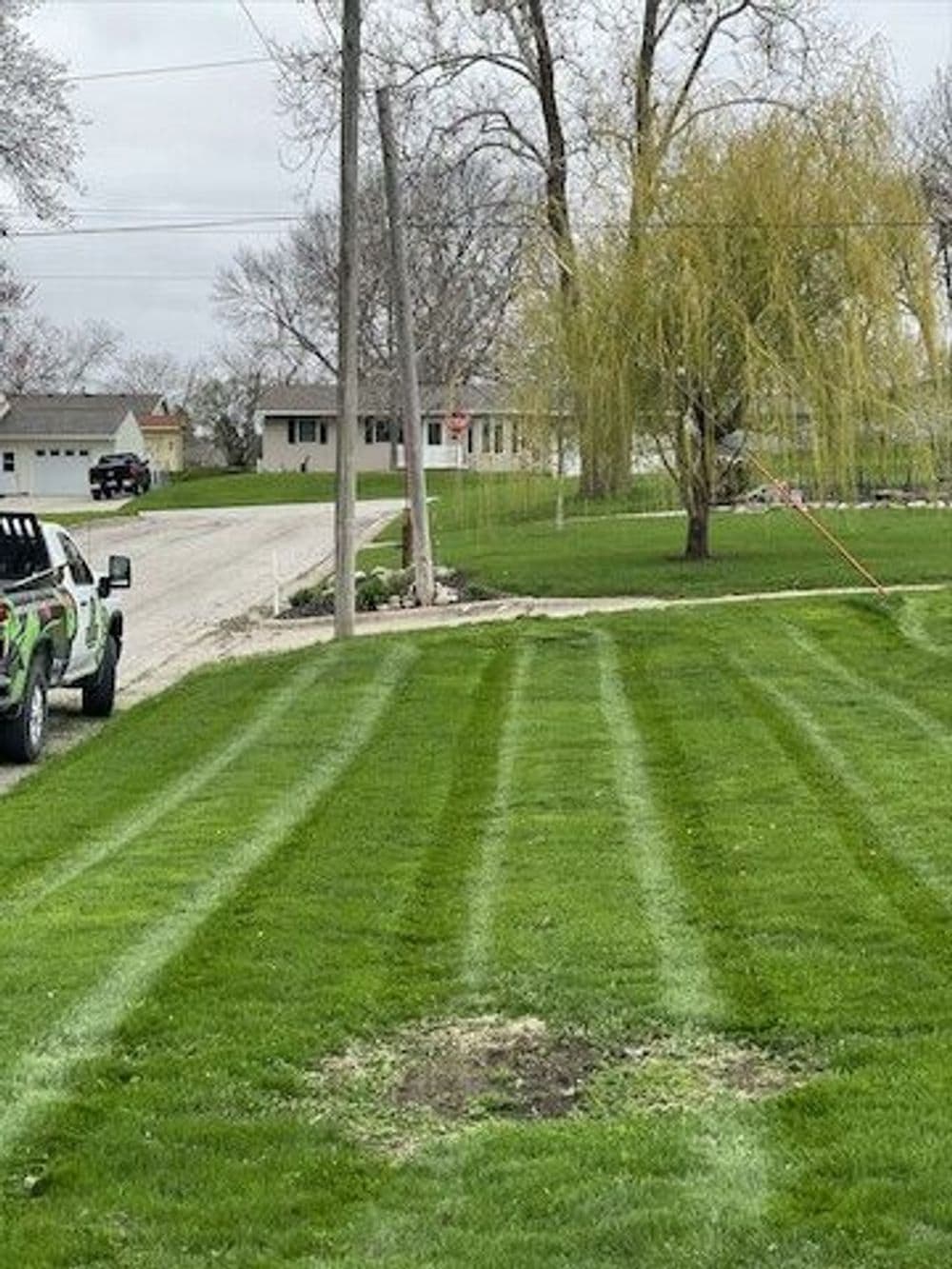 Freshly mowed lawn with striped patterns, featuring a truck parked nearby and a willow tree.