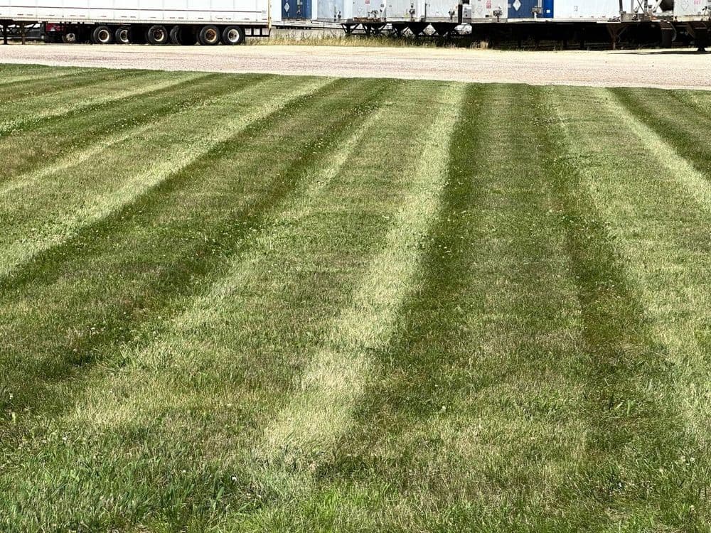 Lush green lawn with striped mowing patterns and trailer trucks in the background.